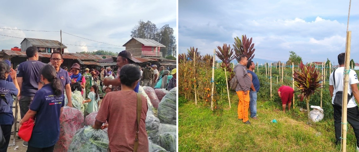 Harga Cabai Tak Kunjung Turun, KPPU Pantau Perdagangan Cabai ke Petani dan Pasar Hortikultura Terbesar di Sumut
